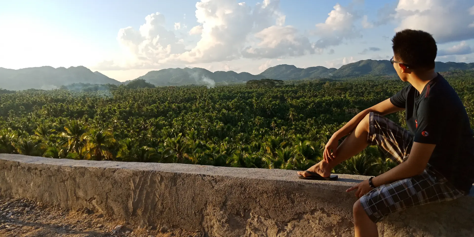 Golden hour view from the Maasin Coconut Plantation view deck, Siargao Philippines — rolling palm canopy at sunset