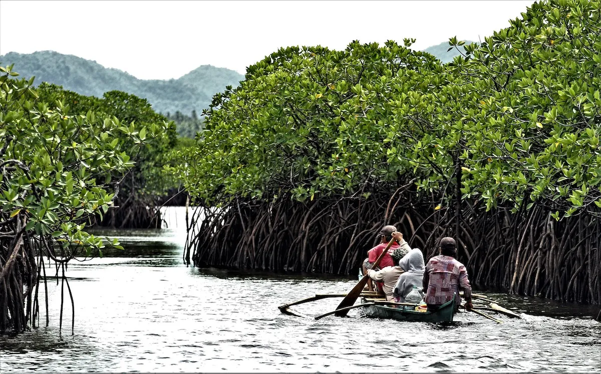 Tourist boat cruising through the Del Carmen mangrove channels in Siargao at sunset during a golden-hour cruise