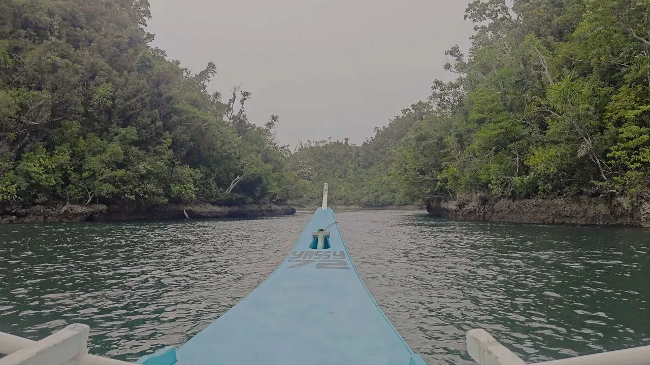 Boat ride through Del Carmen mangrove forest channels on the way to Sugba Lagoon, Siargao, Philippines