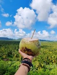 Fresh buko — young green coconut served whole with a straw in Siargao