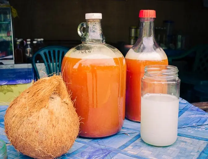 Tuba — locally fermented coconut wine sold in plastic bottles at roadside stands in Siargao